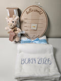 "Born in 2026" Blue Baby Bundle